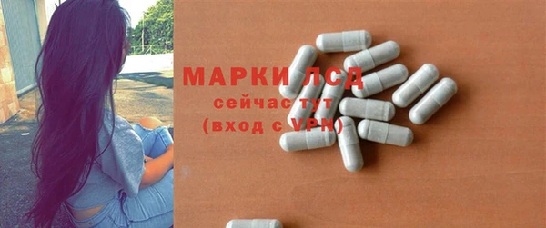 мдпв Инсар