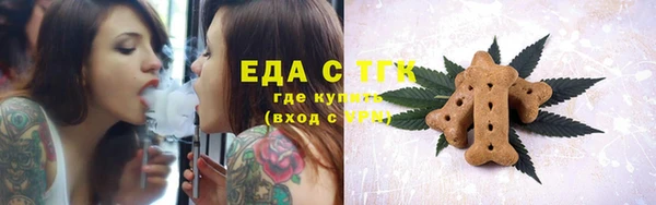 мдпв Инсар