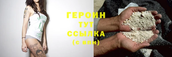 мдпв Инсар