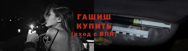 мдпв Инсар