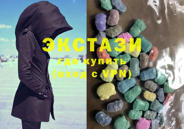 мдпв Инсар