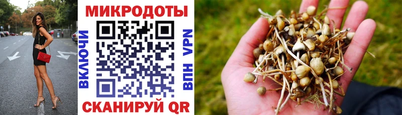 Псилоцибиновые грибы прущие грибы  цены наркотик  hydra онион  Оренбург 