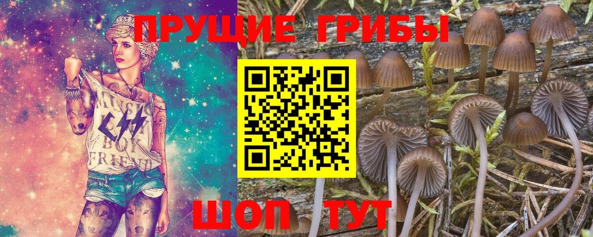 Галлюциногенные грибы ЛСД Оренбург