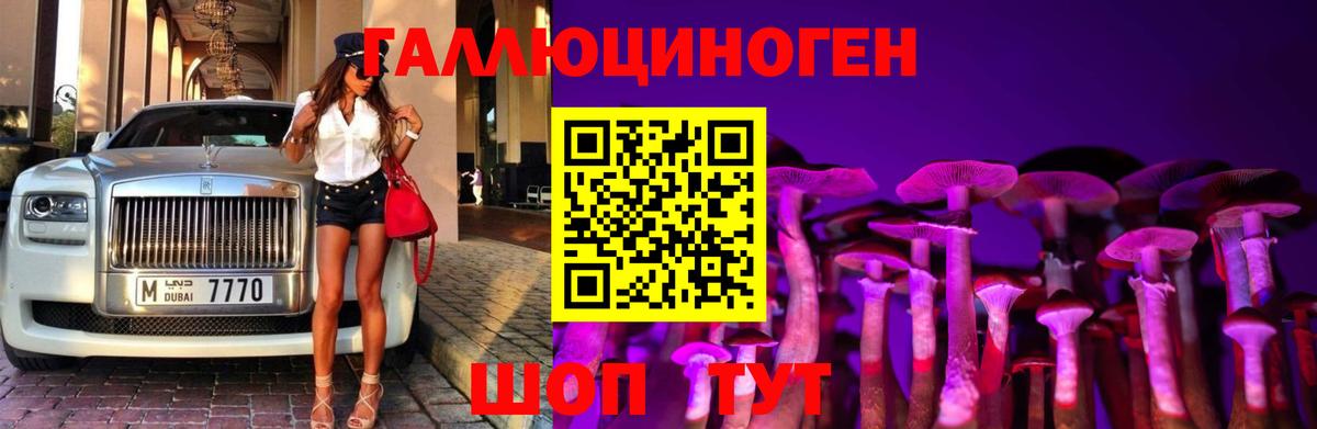 Оренбург  Псилоцибиновые грибы MAGIC MUSHROOMS  Вход с VPN 