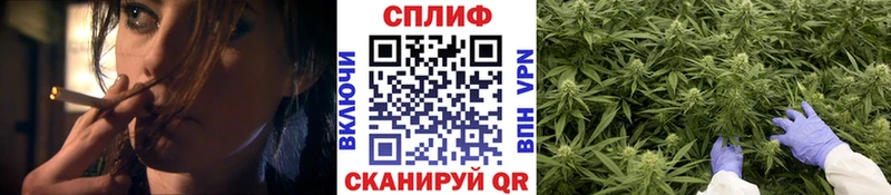 Канабис индика где можно купить Оренбург